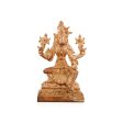 Varahi Amman Statue - 5 x 3 Inches | Panchaloha Idol  Varahi Amman Idol for Pooja  690 Gms Discount