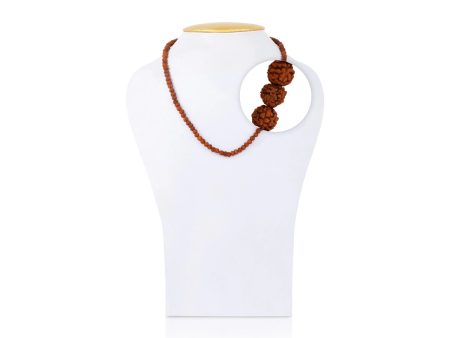 Rudraksha Mala - 8.5 Inches | Ruthratcham Malai  Rudraksha Mala Beads for Meditation Hot on Sale