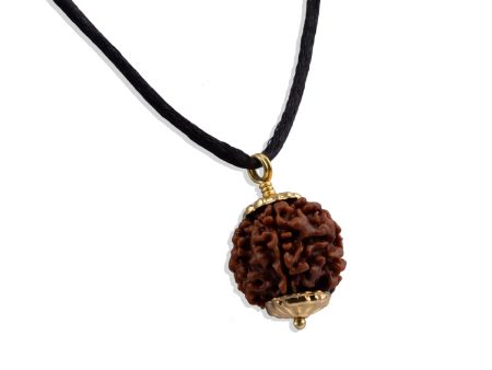 6 Face Rudraksha Pendant | Gold Cup Rudraksha Pendant  Nepali Rudraksh Locket for Men & Women Online Hot Sale