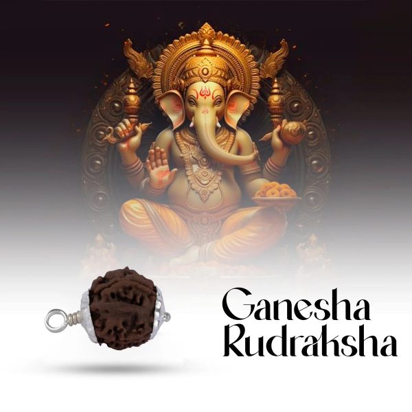 Ganesh Rudraksha Pendant with White Cup | Nepali Rudraksha Bead Pendant  Rudraksh Locket for Men & Women Discount