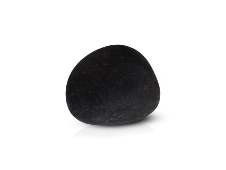 Shaligram - 1.25 Inches | Saligrama  Saligram  Salagrama Murti for Pooja For Discount