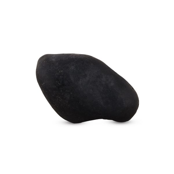 Shaligram - 1.5 x 3 Inch | Saligrama  Saligram  Salagrama Murti for Pooja Online