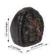 Krishna Shaligram - 3.5 x 2.5 Inches | Krishna Saligrama  Salagrama Murti for Pooja Online Hot Sale