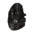 Lakshmi Narasimha Shaligram - 7 x 6.5 Inches | Lakshmi Narasimha Saligrama  Laxmi Narasimha Shaligram for Pooja For Cheap