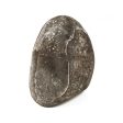 Shaligram - 5.5 Inches | Saligrama  Saligram  Salagrama Murti for Pooja Online now