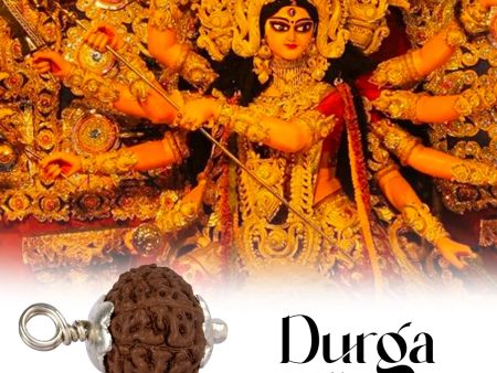 9 Face Rudraksha Pendant | Silver Cup Rudraksha Pendant  Java Rudraksh Locket for Men & Women Supply