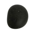 Shaligram - 1.5 Inches | Saligrama  Saligram  Salagrama Murti for Pooja Sale