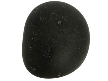 Shaligram - 1.5 Inches | Saligrama  Saligram  Salagrama Murti for Pooja Sale