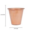 Copper Tumbler - 2.5 x 2.5 Inches | Filter Coffee Tumbler for Home  42 Gms Approx Hot on Sale